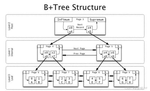 深入InnoDB核心 揭秘B+树在数据库索引中的高效应用