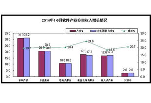 我国软件业数据处理与存储服务收入达4785亿元 信息技术咨询服务稳步增长